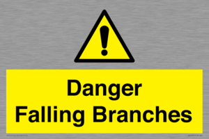 Danger Falling Branches